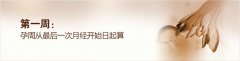 怀孕第1周
