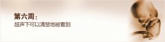 怀孕第6周